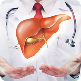 buy.androidgostar.kabed