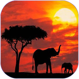 folad.bakhshhaytaanzaania