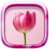 com.oaisy.puzzle.flowers