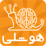 ir.irandroid.hoshli
