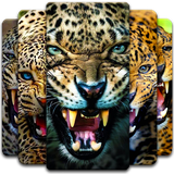 com.leopard.wallpaper.background.HD