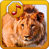 com.CMP.AnimalSoundsRingtonesFree