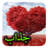 com.roman.jazab
