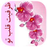 com.imnet.zarfiyateghalbeto