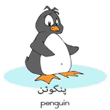 ir.ali.s.amoozesh.englisi