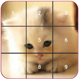 com.gaielsoft.cat.puzzle
