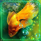 com.godsproslw.aquariumgoldfisheslivewallpaper