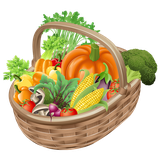 org.farvardin.app.negahdari.mavad.ghazayi