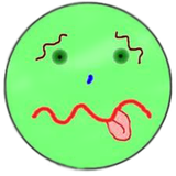 ir.peyman.badmashini