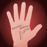 palm.seer.palm.reading.app