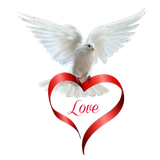 ir.monir.manoto
