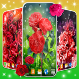 roses.red.flowers.leaves.spring.summer.background.free.wallpaper.hd