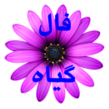 fgiyyah.fgiyyah56