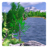 de.toar.livewallpaper.summerlake.free