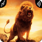 com.appsbrand.lionsoundsringtones