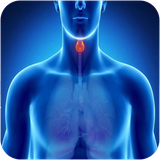 mr.ghodadebadanvabimarihayean