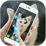 live.wallpaper.cute.cat.animal