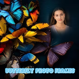 com.ram.butterflyframes