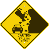 com.cars.quiz.knowledge.game