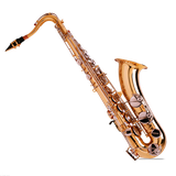 com.rev.plugin.keyboards.saporanosax