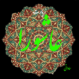com.seyyedstar.ziaratashoora