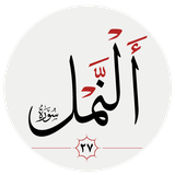 pydart.naml