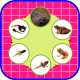 ir.tinasoft.khodamooz_oloom_sevvom