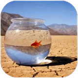 folad.danestanihayeghlim