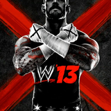 com.SandSprogrammingGroup.WWE2013Low
