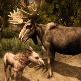 com.yamtargames.moose