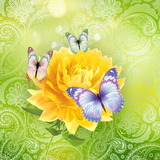 com.livewallpapers3d.summerbutterflies