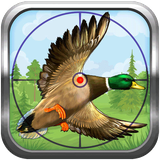 rainbow.shekar.morghabi