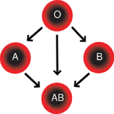 bahar.ahmai.p.goroh_khoni