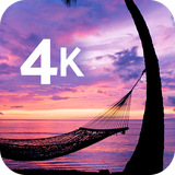 com.david_wallpapers.tropics