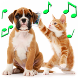 animalringtones.animalsoundsfree