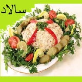 ir.salad.saladi