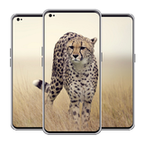 com.fernan.cheetahwallpaper