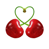 com.appchar.store.wooroozipak