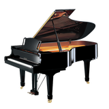 com.rev.plugin.keyboards.yamahap200
