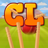 com.DigiNerds.Cricket
