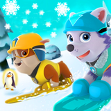 patris.paw.skate