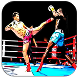 com.appsfreeinc.kickboxingmuaythaiAikido
