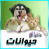 com.zhiwan.animal