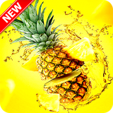 com.andromo.dev680484.app701532