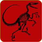 com.andromo.dev868879.app1004369