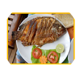 ir.mrmmaku.mahi