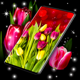 tulips.spring.summer.flowers.background.free.hd