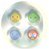 com.msgames.spinanimalsmatch