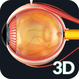 com.visual3dscience.eyepro