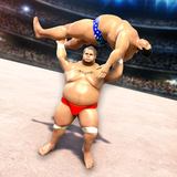 com.fg.sumo.wrestling.sumotori.fighting.live.arena